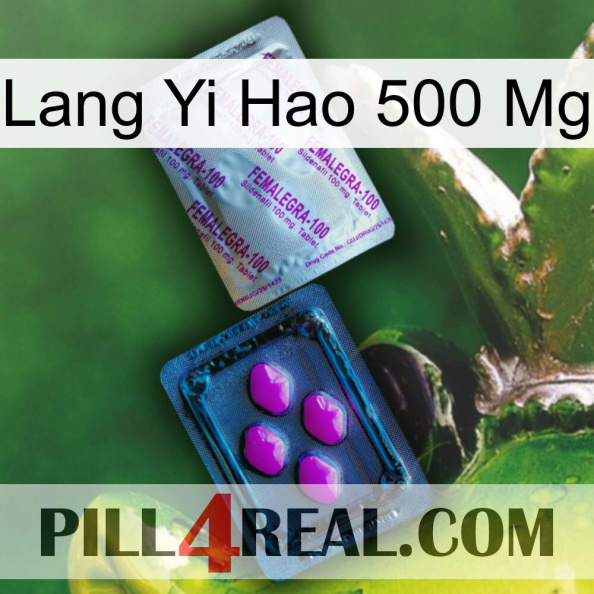 Lang Yi Hao 500 Mg 37.jpg